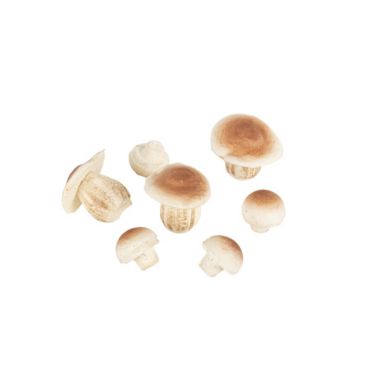 7 champignons en mousse deco automne | jourdefete.com 7 champignons en mousse deco automne | jourdefete.com