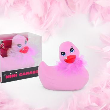 Mini Canard vibrant rose avec écharpe Mini Canard vibrant rose avec écharpe