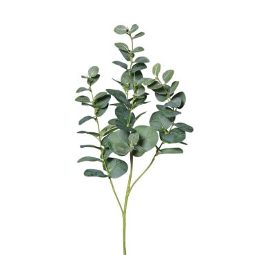 4 branches d'eucalyptus verte | jourdefete.com 4 branches d'eucalyptus verte | jourdefete.com