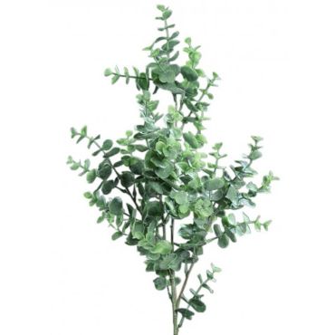 tige-eucalyptus-decoration-florale|jourdefete.com tige-eucalyptus-decoration-florale|jourdefete.com
