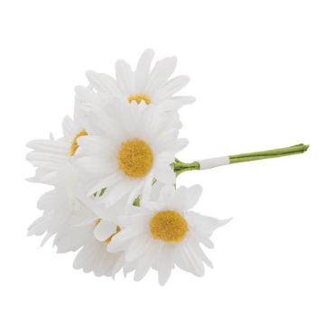 Un bouquet de 6 marguerites à pétales blanches pour votre événement | jourdefete.com Un bouquet de 6 marguerites à pétales blanches pour votre événement | jourdefete.com