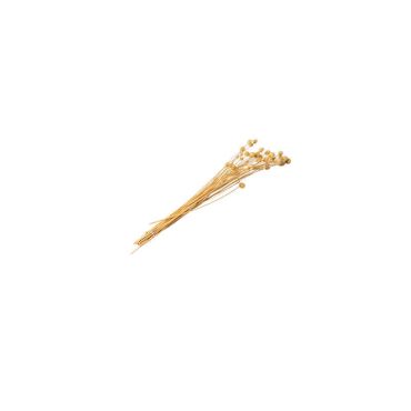 bouquet-chardon-seche|jourdefete.com bouquet-chardon-seche|jourdefete.com