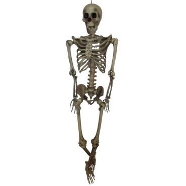 Ce squelette de taille d'un enfant de 12 ans pourra semer le trouble dans votre soirée d'Halloween | jourdefete.com Ce squelette de taille d'un enfant de 12 ans pourra semer le trouble dans votre soirée d'Halloween | jourdefete.com