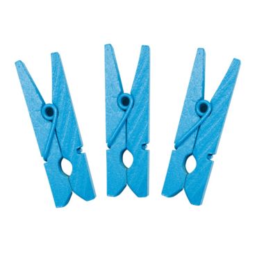 12 Petites Pinces en Bois - Turquoise 12 Petites Pinces en Bois - Turquoise