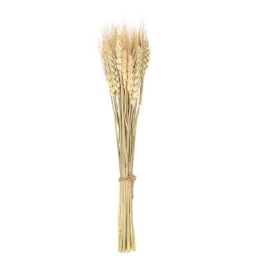 bouquet epis de bles | jourdefete.com bouquet epis de bles | jourdefete.com