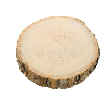 Rondin de bois 17cm x 2cm | jourdefete.com Rondin de bois 17cm x 2cm | jourdefete.com