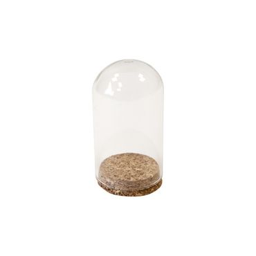 Cloche en verre sur support en liège | jourdefete.com