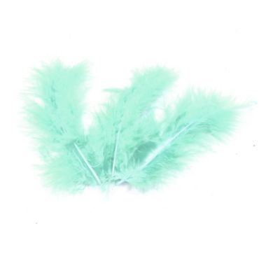 20 Plumes Décoratives - Vert d'Eau 20 Plumes Décoratives - Vert d'Eau