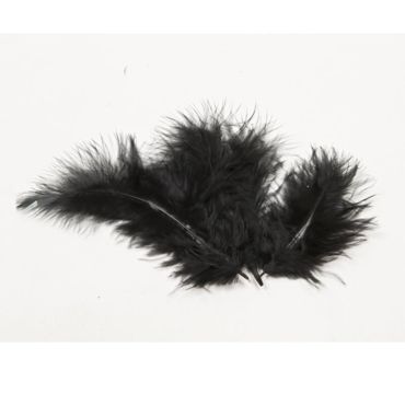 20 Plumes Décoratives - Noir 20 Plumes Décoratives - Noir