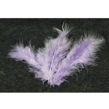 20 Plumes Décoratives - Parme 20 Plumes Décoratives - Parme