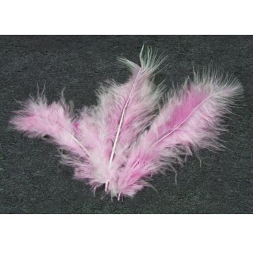 20 Plumes Décoratives - Rose