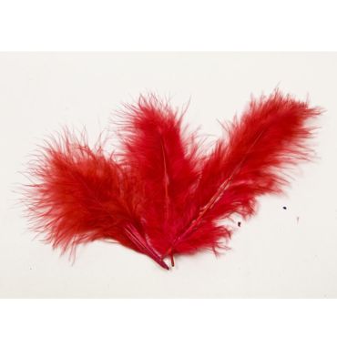 20 Plumes Décoratives - Rouge 20 Plumes Décoratives - Rouge