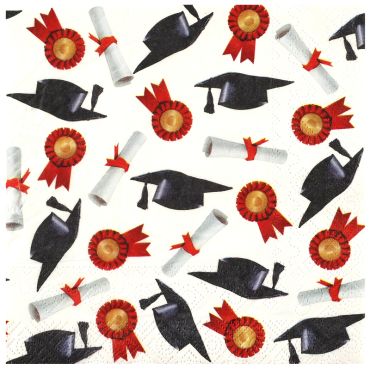 Serviettes en papier thème diplôme pour fête de remise de diplôme | jourdefete.com Serviettes en papier thème diplôme pour fête de remise de diplôme | jourdefete.com