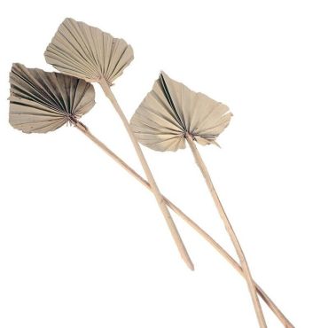 feuilles de palmiers naturelles decoupees | jourdefete.com feuilles de palmiers naturelles decoupees | jourdefete.com