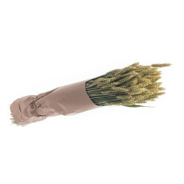Bouquet de blé naturel vert | jourdefete.com Bouquet de blé naturel vert | jourdefete.com