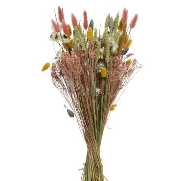 Bouquet de Fleurs des Champs Séchées - 60cm Bouquet de Fleurs des Champs Séchées - 60cm