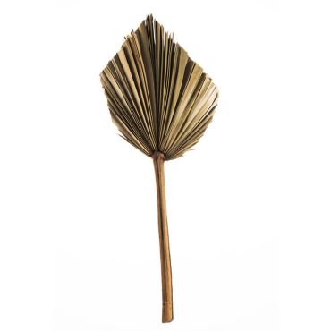 Feuille de palmier géante - 1 m | jourdefete.com Feuille de palmier géante - 1 m | jourdefete.com