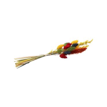 mini bouquet de fleurs séchées multicolores mini bouquet de fleurs séchées multicolores