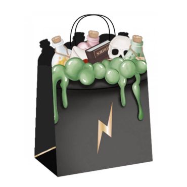 4 sacs cadeaux apprenti sorcier | jourdefete.com 4 sacs cadeaux apprenti sorcier | jourdefete.com