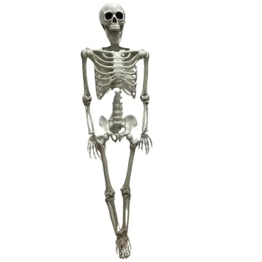 Un squelette de 150 à suspendre pour Halloween | jourdefete.com