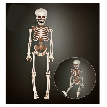squelette en plastique de 40 cm | jourdefete.com squelette en plastique de 40 cm | jourdefete.com