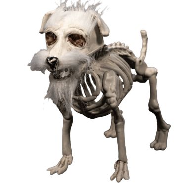 Squelette chien Halloween avec barbichette décoration originale | jourdefete.com Squelette chien Halloween avec barbichette décoration originale | jourdefete.com