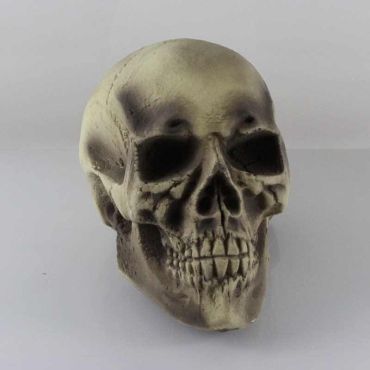 Tête de mort à poser - grand modèle Tête de mort à poser - grand modèle