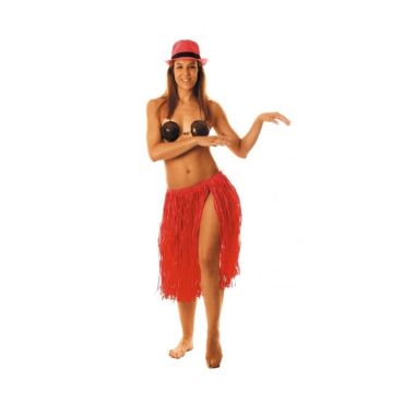 Jupe Hawaïenne Mi-Longue Raffia 60 cm - Rose Jupe Hawaïenne Mi-Longue Raffia 60 cm - Rose