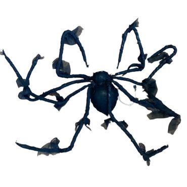 Araignée noire animée Araignée noire animée