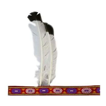 bandeau avec plumes | jourdefete.com bandeau avec plumes | jourdefete.com