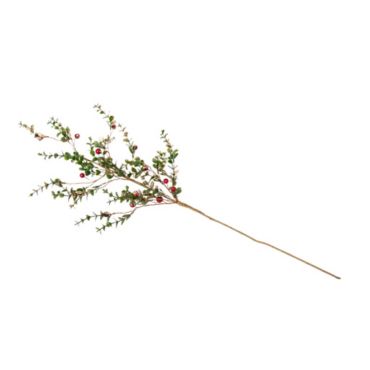 branche eucalyptus avec baies paillettees dorees | jourdefete.com branche eucalyptus avec baies paillettees dorees | jourdefete.com