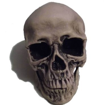 Tête de mort à poser - moyen modèle Tête de mort à poser - moyen modèle