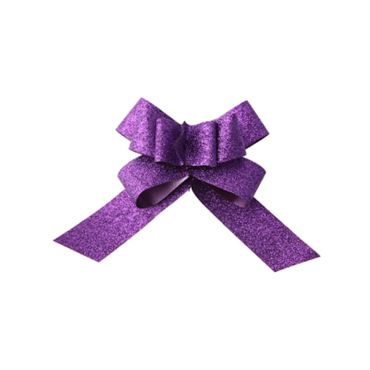 Lot de 2 nœuds automatiques pailletés - Prune | jourdefete.com Lot de 2 nœuds automatiques pailletés - Prune | jourdefete.com