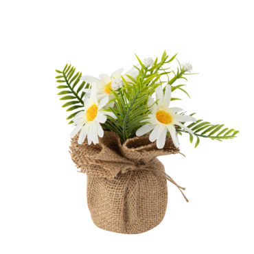 Composition marguerites blanches et feuillage vert avec jute - Ø 10 x 14,5 cm | jourdefete.com Composition marguerites blanches et feuillage vert avec jute - Ø 10 x 14,5 cm | jourdefete.com