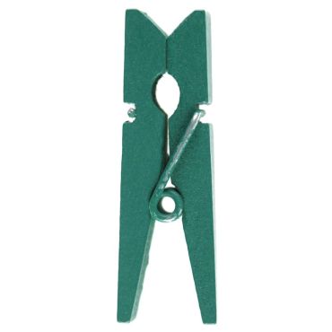 Un lot de 12 petites pinces en bois de couleur vert eucalyptus pour égayer votre table | jourdefete.com Un lot de 12 petites pinces en bois de couleur vert eucalyptus pour égayer votre table | jourdefete.com