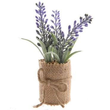 Lavande dans Pot en Jute | jourdefete.com Lavande dans Pot en Jute | jourdefete.com