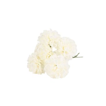 Un joli lot d'hortensias colorées pour votre événement | jourdefete.com Un joli lot d'hortensias colorées pour votre événement | jourdefete.com