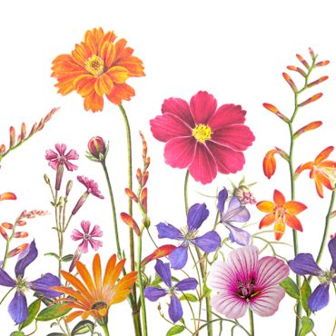 Serviette Atelier Jardin Botanic avec motifs de fleurs raffinées | jourdefete.com Serviette Atelier Jardin Botanic avec motifs de fleurs raffinées | jourdefete.com