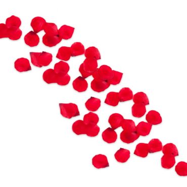 sachet de 150 pétales de roses rouges | jourdefete.com sachet de 150 pétales de roses rouges | jourdefete.com