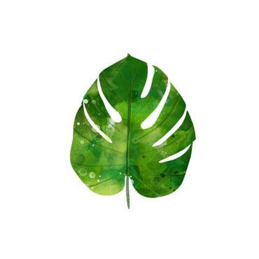 serviettes-cocktail-philodendron | jourdefete.com serviettes-cocktail-philodendron | jourdefete.com