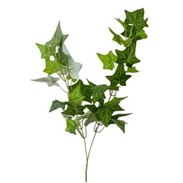 tige-lierre-70-cm|jourdefete.com tige-lierre-70-cm|jourdefete.com