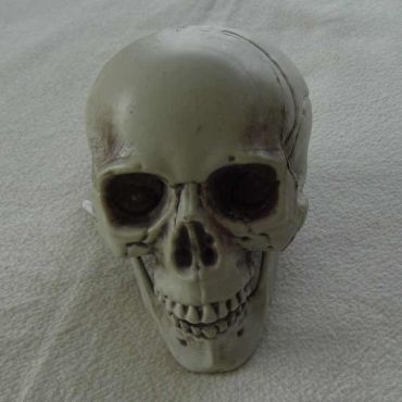 Tête de mort à poser - petit modèle Tête de mort à poser - petit modèle